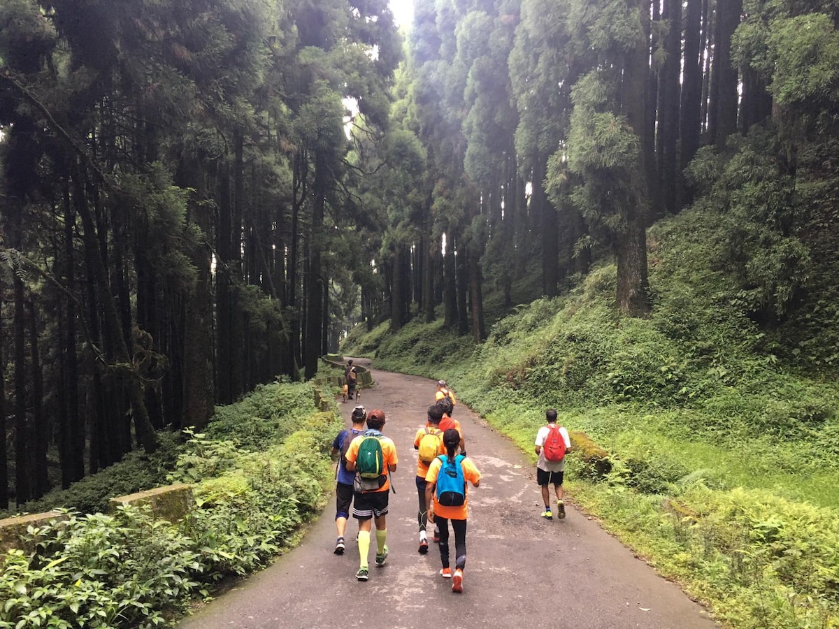 Hike and run on Himalayan forest trails