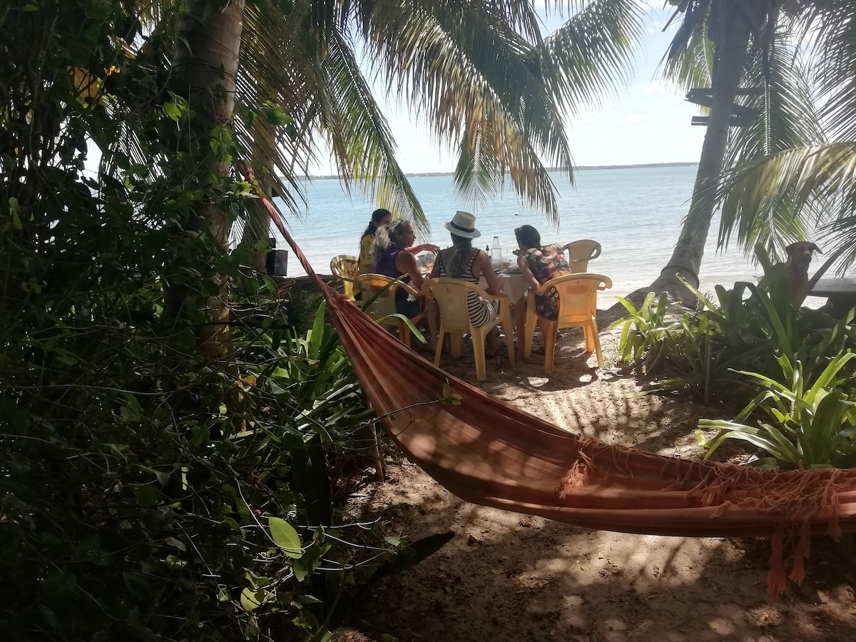 Kayak and lunch in mangroves