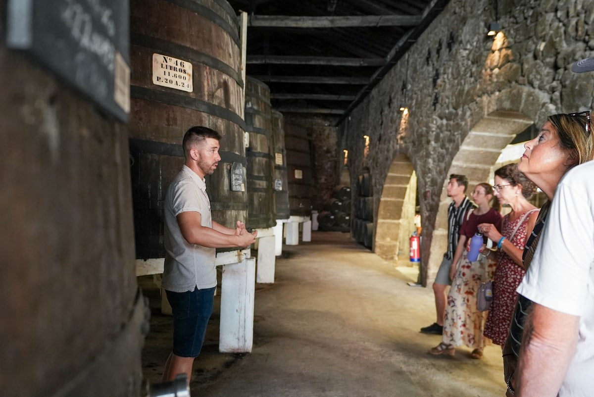 Explore 1 Cellar, 2 Brand houses & 7 Port Tastings