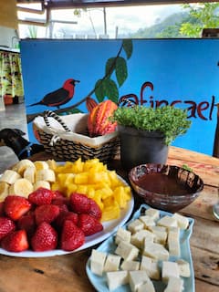 Hike, cocoa cultivation and chocolate bars