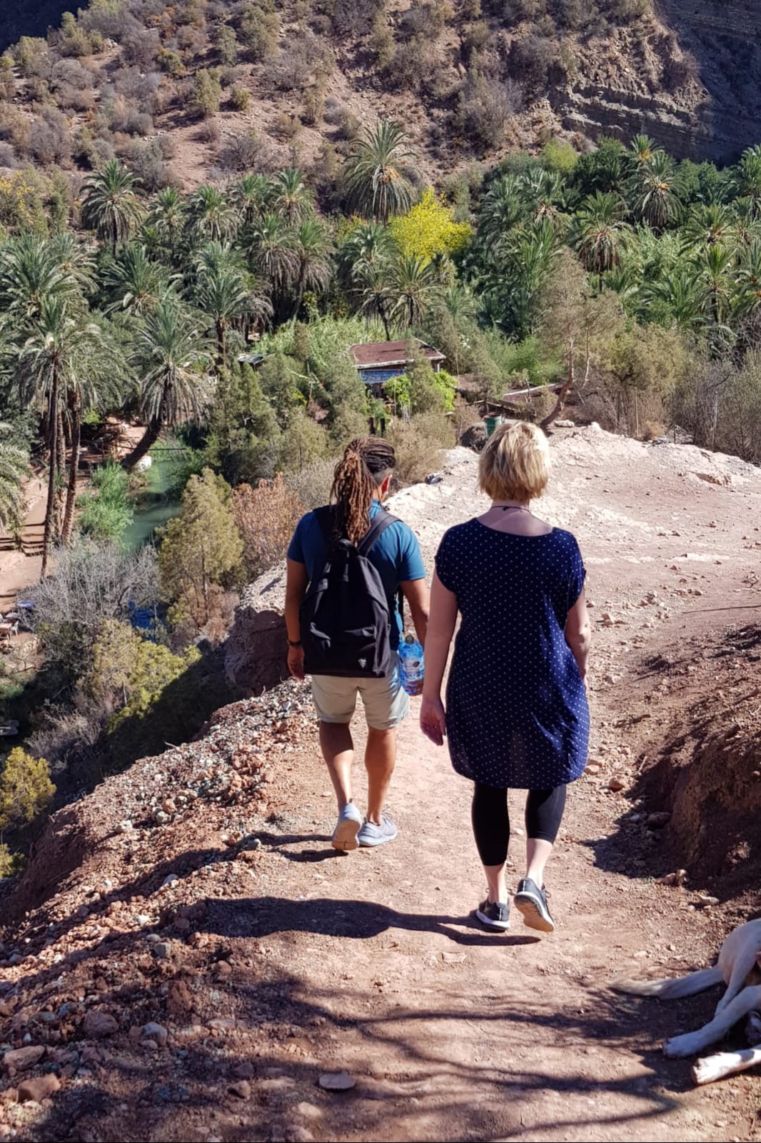 In Search of Paradise Valley