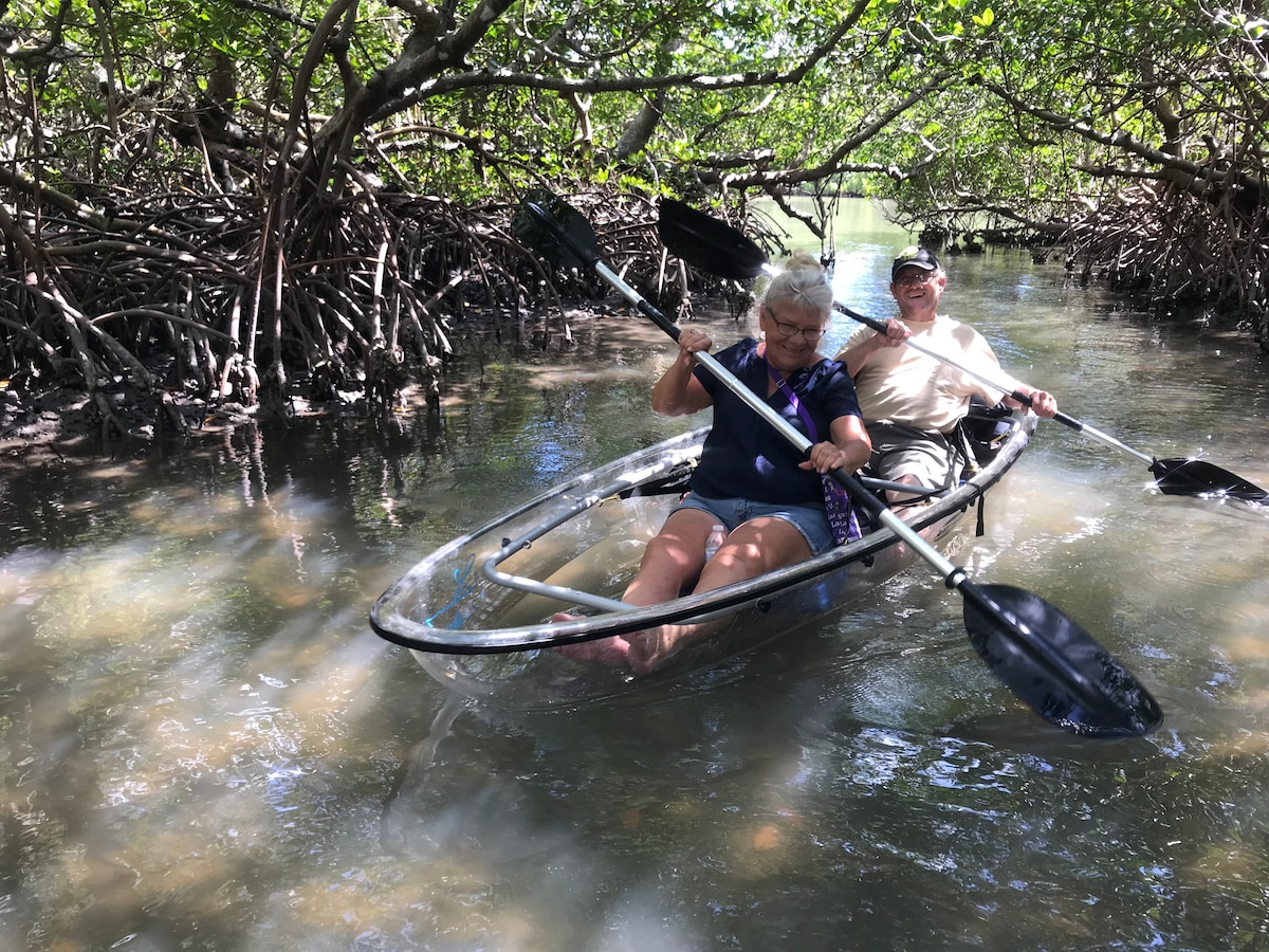 Mangrove Island Eco-Tour by Kayak or Board
