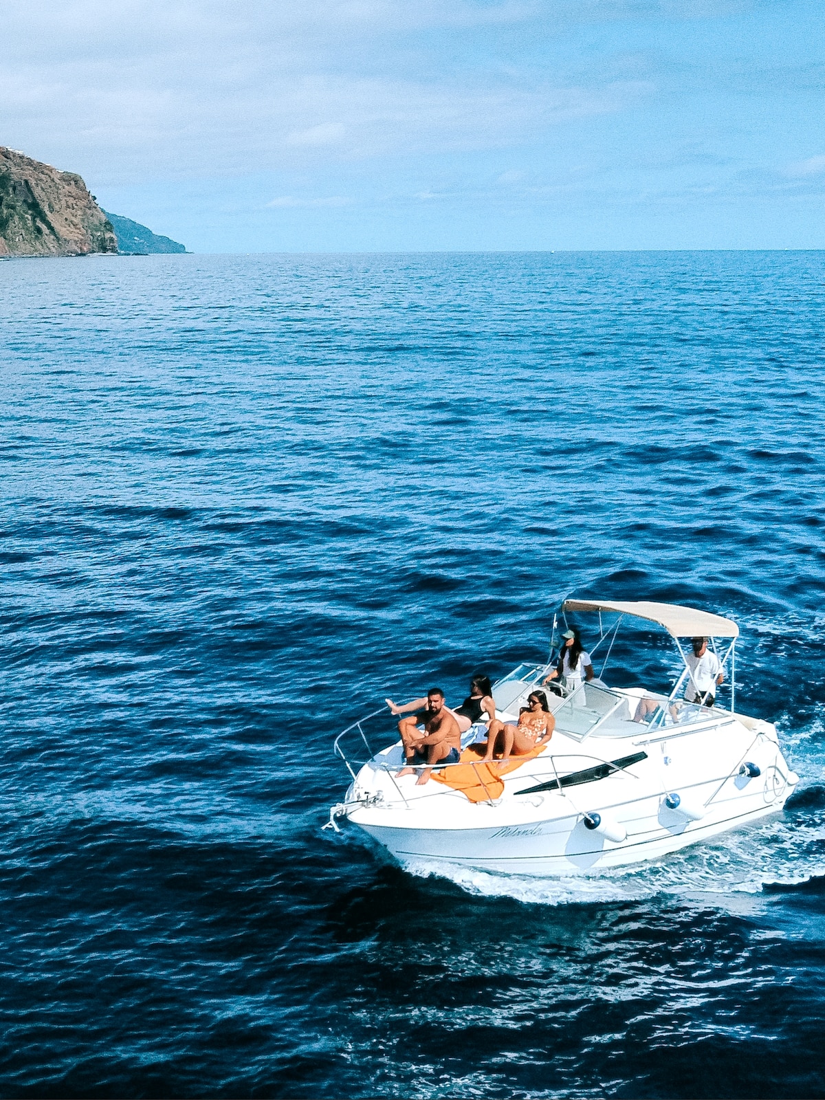 Private Whale and Dolphin Watching Calheta Madeira