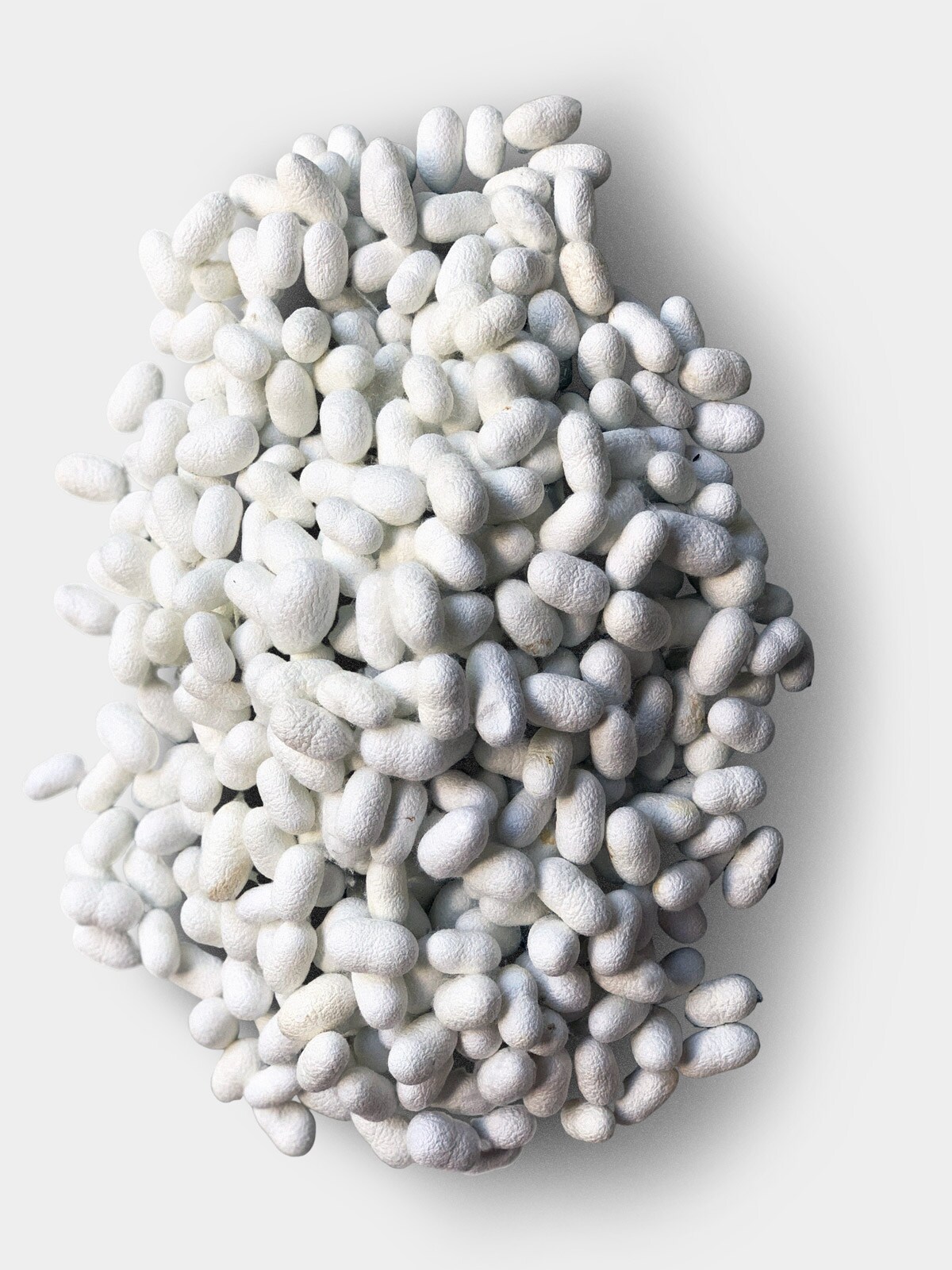 Local Turkish handmade carpet