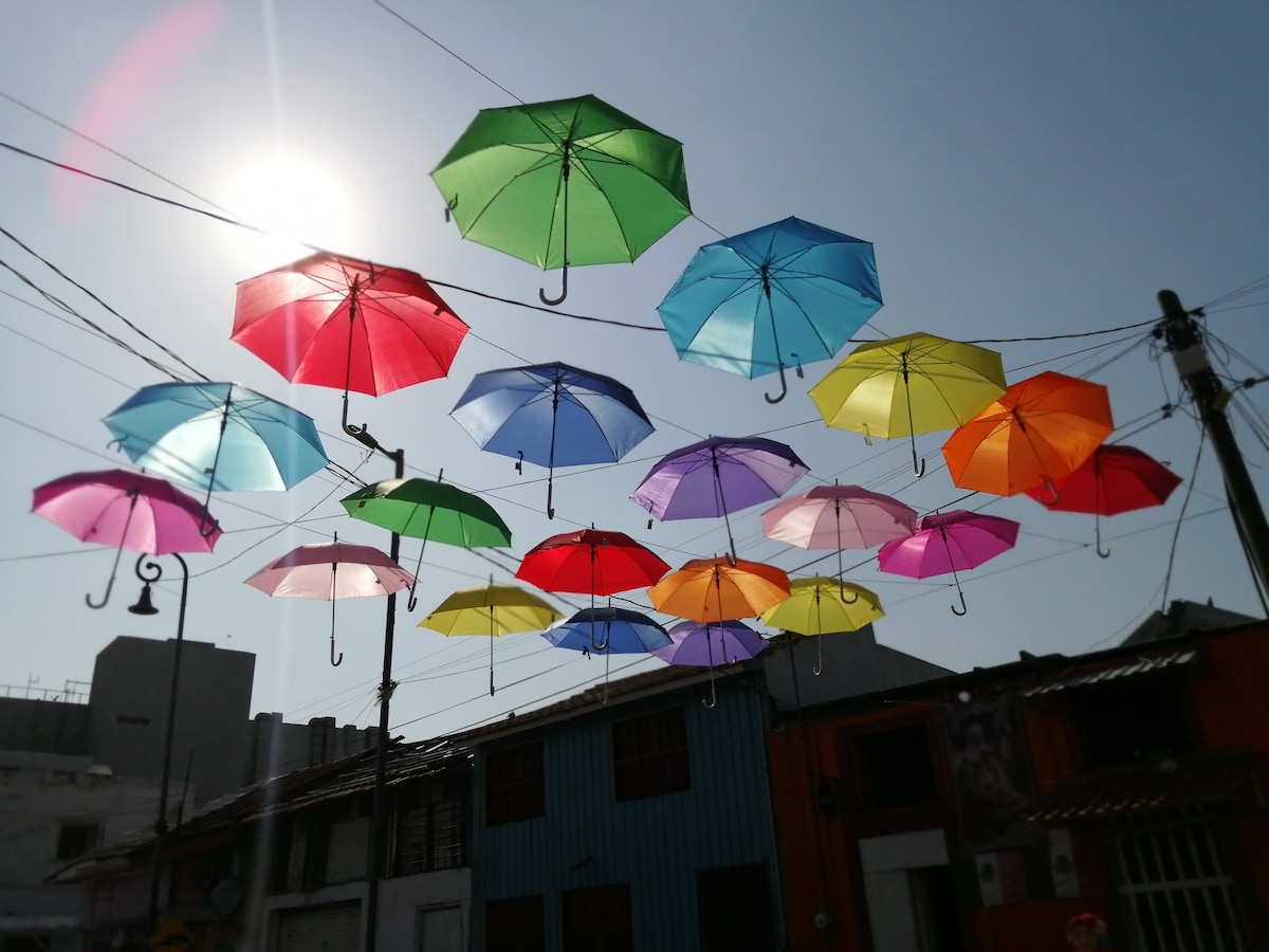 Stroll through Veracruz and learn about local history