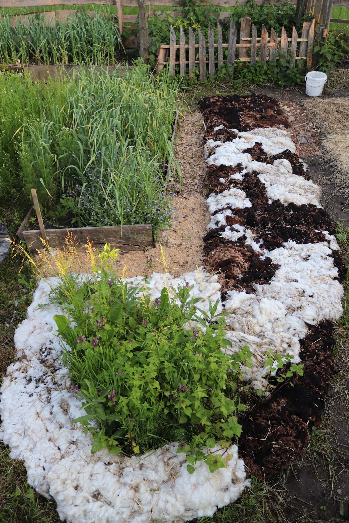 Learn to garden naturally and sustainably