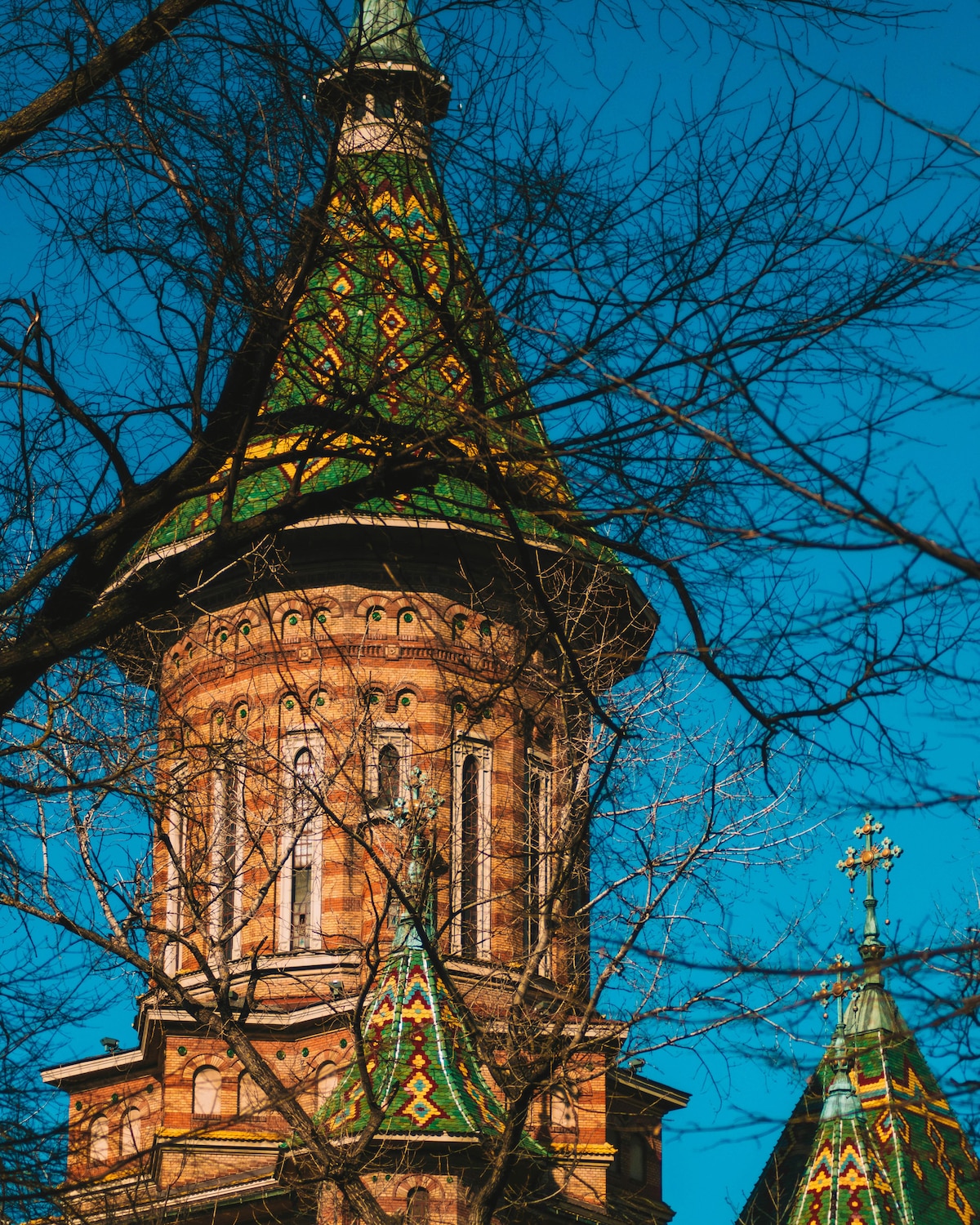 Investigate Timisoaras history