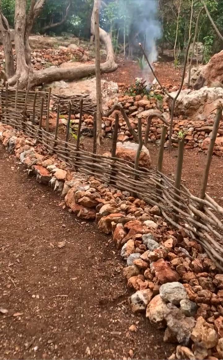 Turneu i trashëgimisë së muzikës reggae