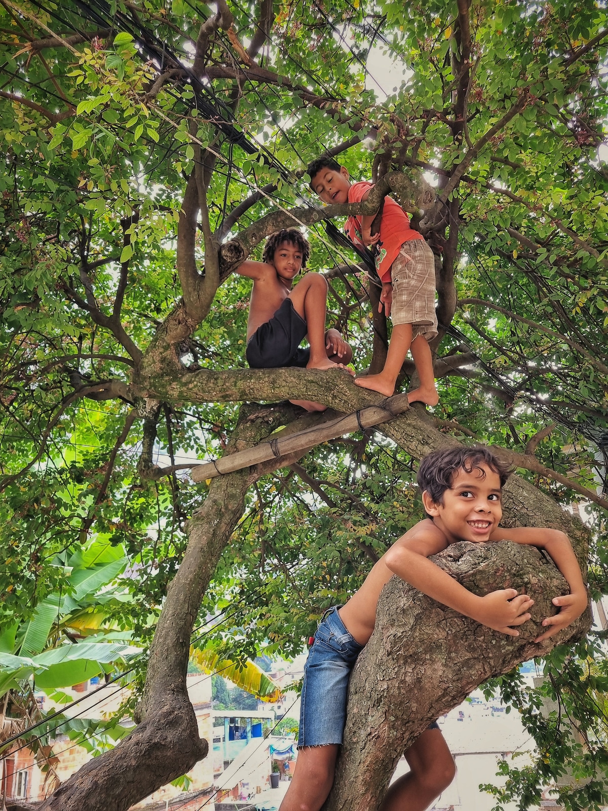 Walk in a favela and learn about local life