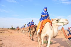 רכיבה על טרקטורונים וגמלים