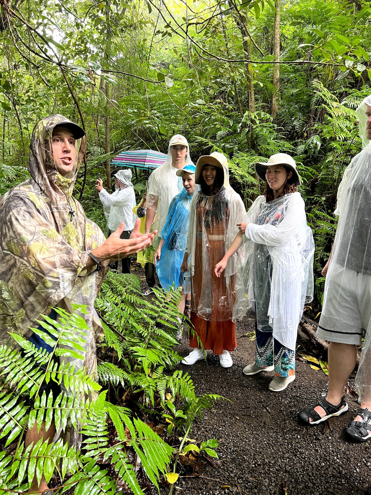 Waterfall, Chocolate Tour, Rainforest, Historical