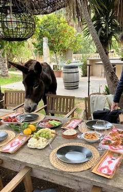 אירוע שף בטייבל פארם עם יינות