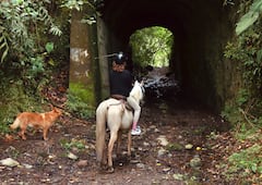 Paseo a caballo a la cascada de Santa Rita