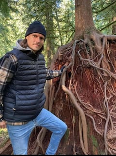 Travel through ancient forests and waterfalls