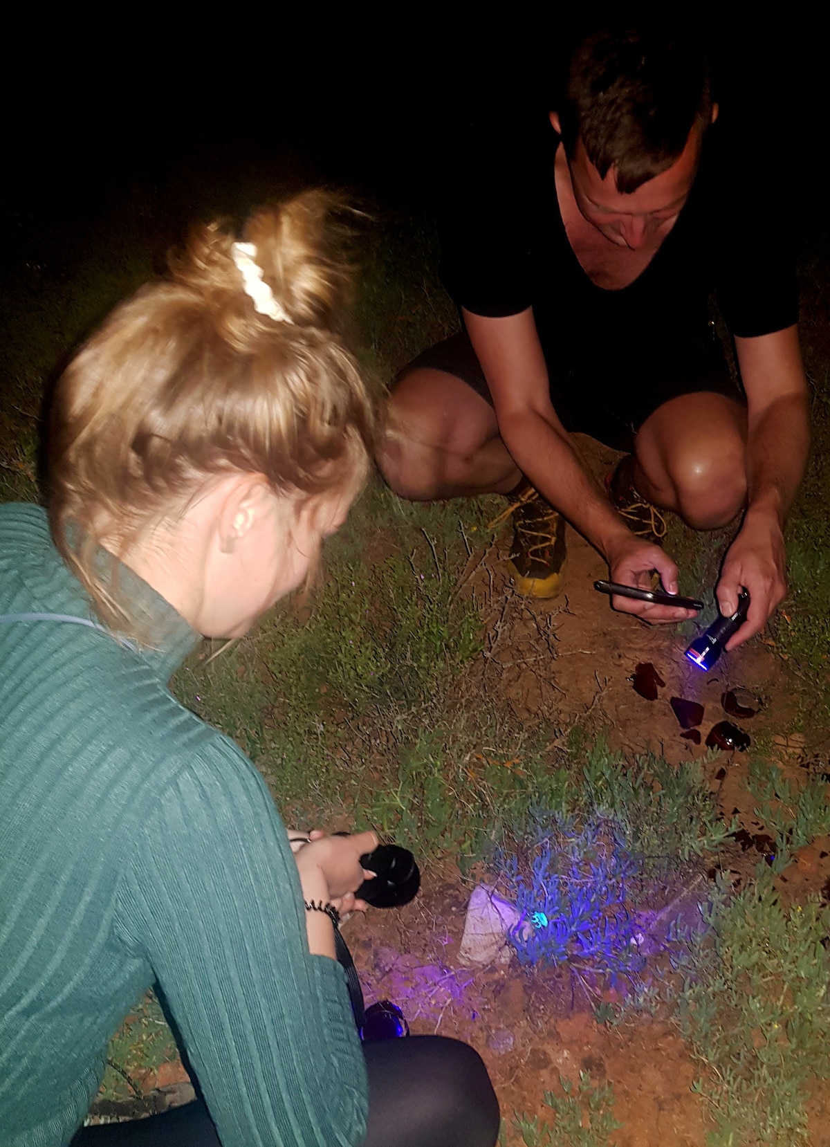 Night Time Nature Walk Experience