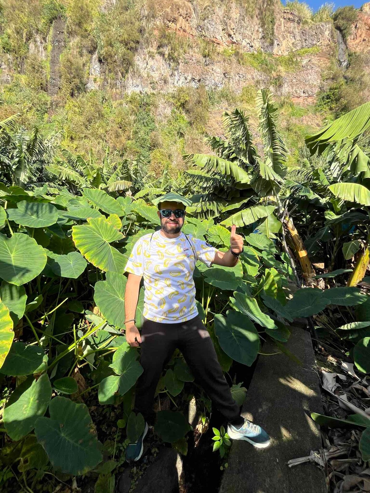Walk through a banana plantation