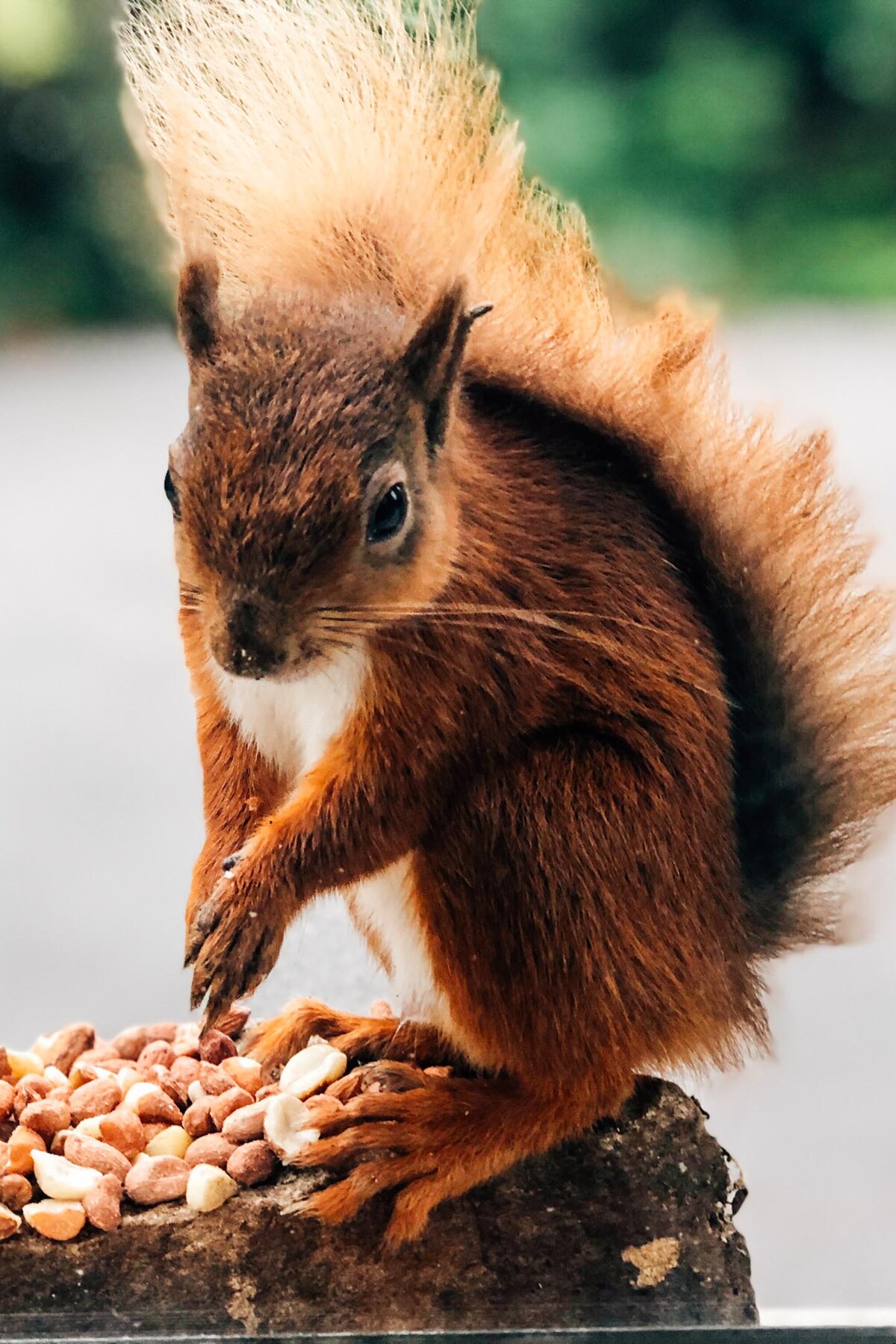 Hike off the beaten path in Irelands moutnains