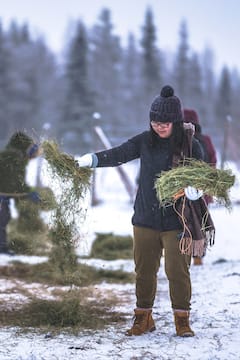 与当地人一起在雪林中喂养驯鹿