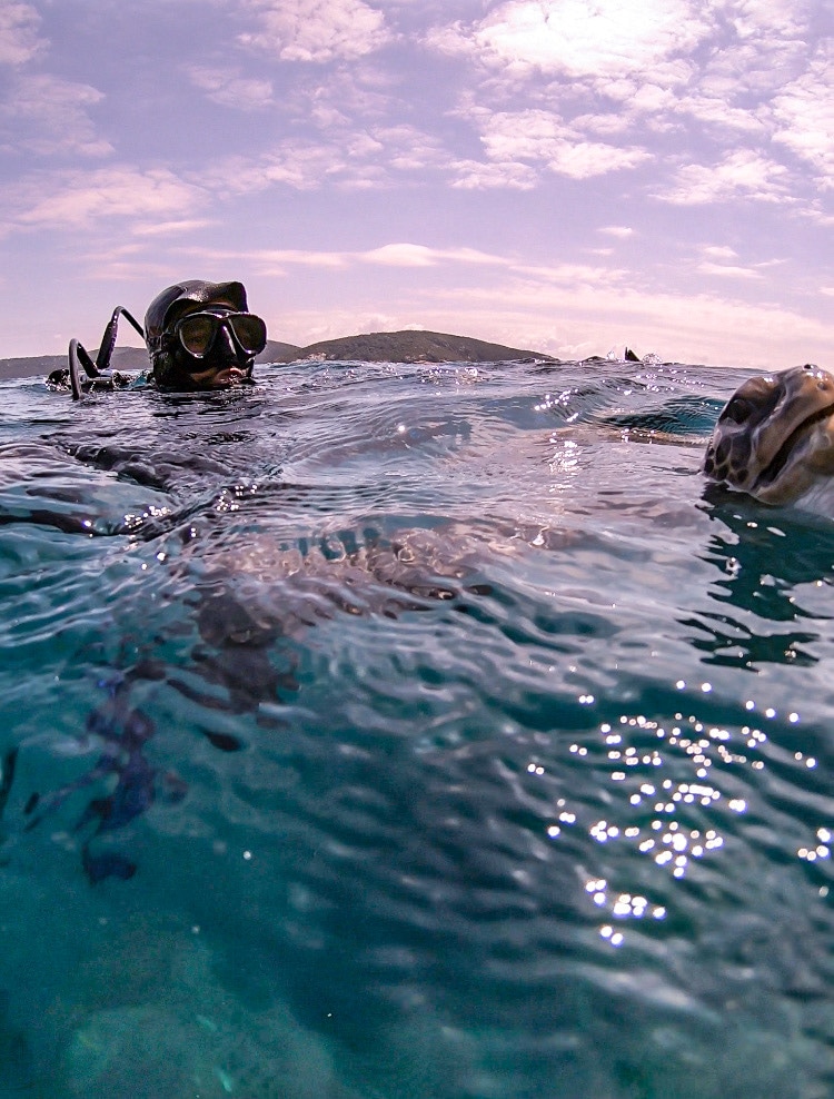 Enjoy the corals of Arraial do Cabo
