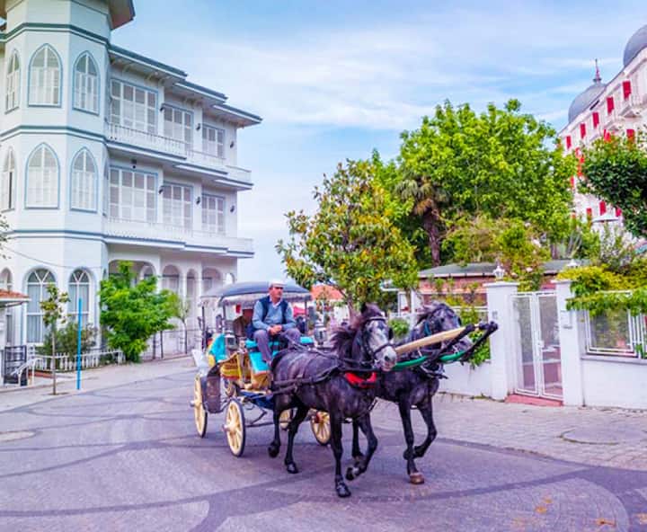 Приключение на Принцесовите острови: плуване, изследване и туризъм