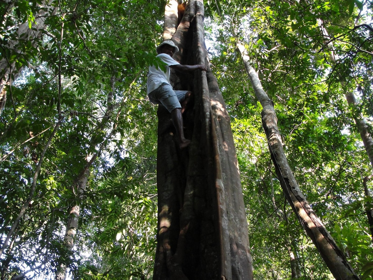 Explore Amazon life on a full day trip