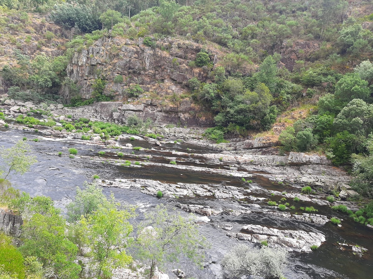 Visit Ponte 516 Arouca and Passadiços do Paiva