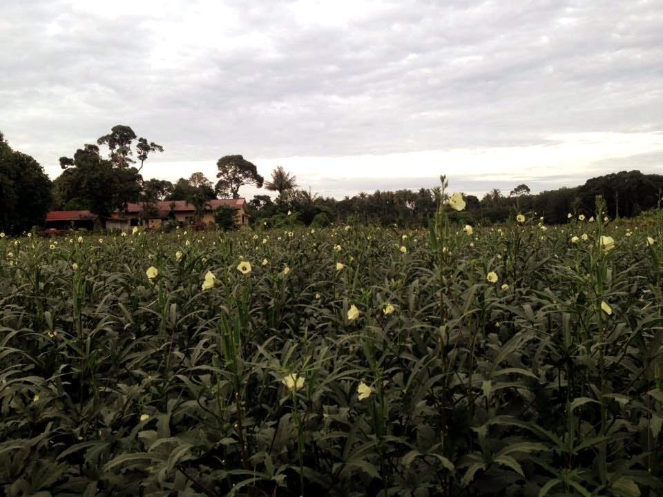 Take a guided ride on the wind and green Malacca