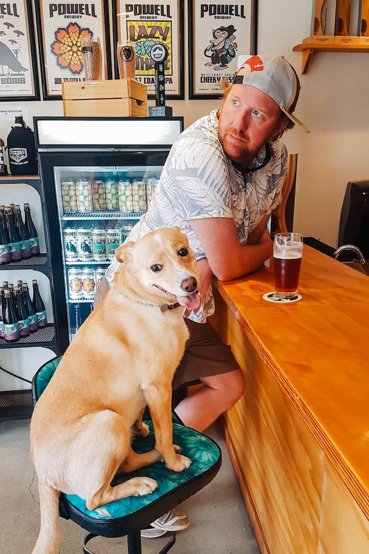 Опитайте най-добрите крафт бири на Мейн Стрийт