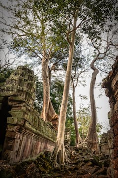 Tour personalizado en jeep vintage por Angkor Wat al amanecer