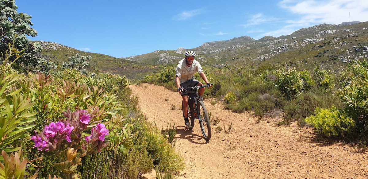 Glide through Cape Town trails on an E-bike.