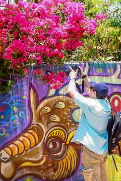 Captura el encanto de Cozumel en un paseo fotográfico