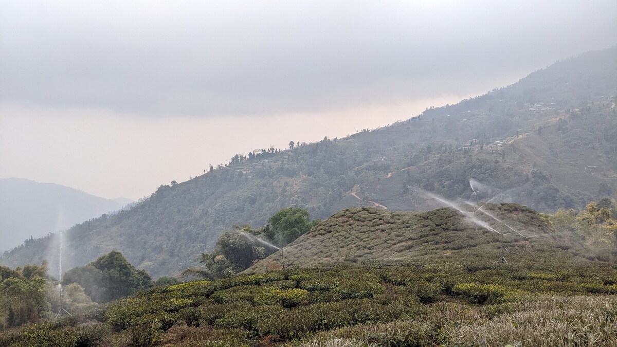 Hike to the Indo-Nepal border with picnic