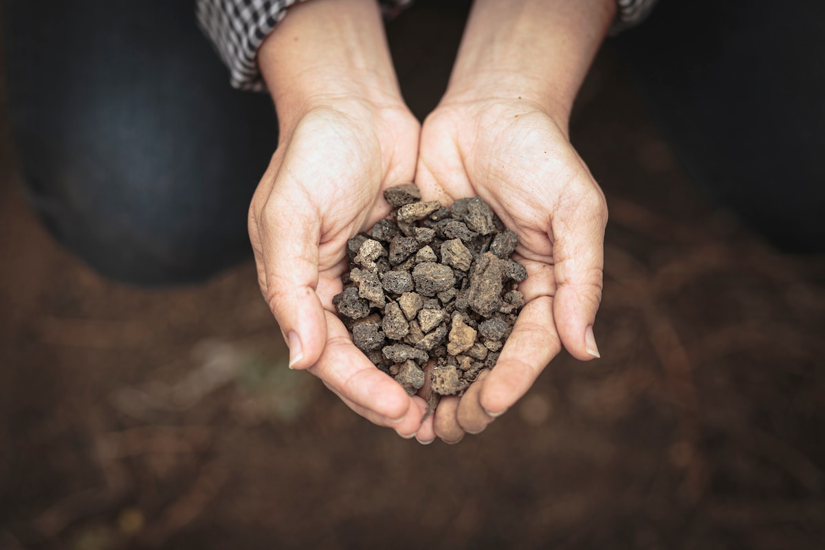 Gran Canaria Winery Tour, Wine Museum, and Tasting