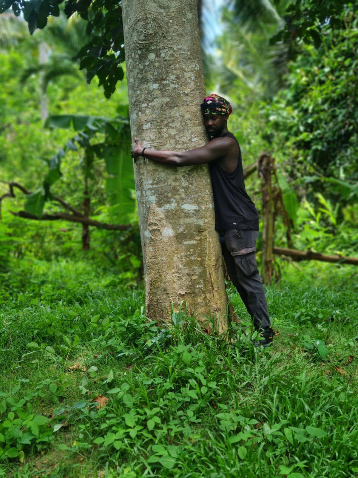 Flavour of the Forest, one night on the mountain