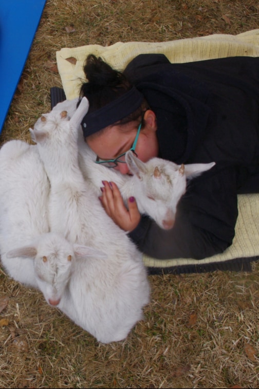 Practice gentle slow flow yoga on a farm