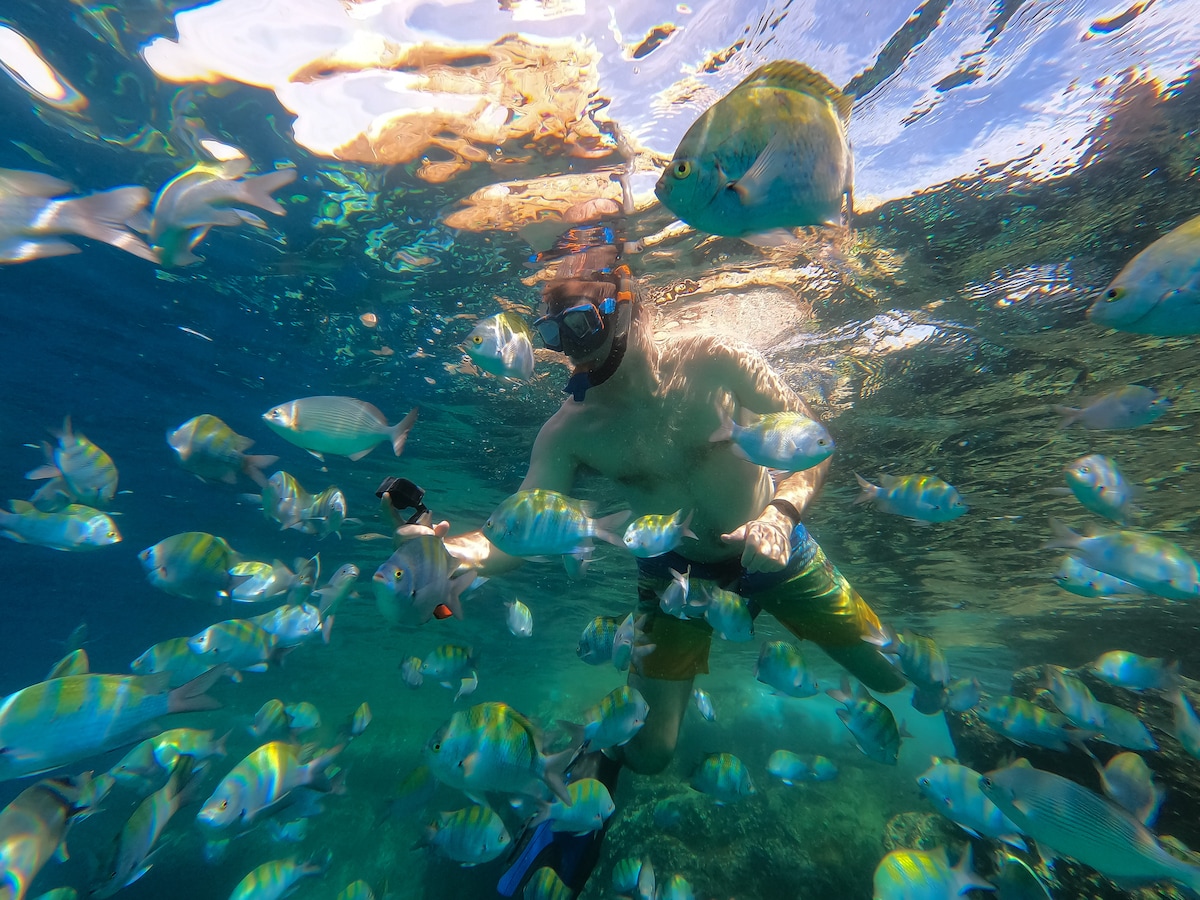 Snorkeling dans la baie de Chinelo
