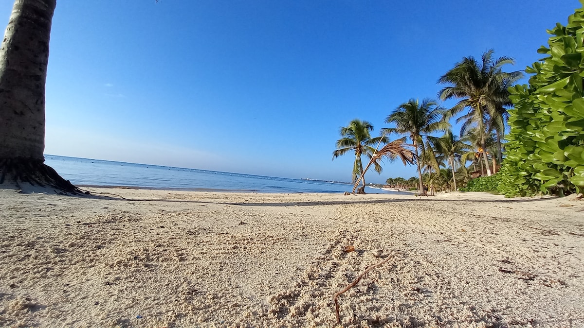 Swimming with turtles in Akumal and GoPro