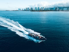 在海龟峡谷与海龟一起浮潜