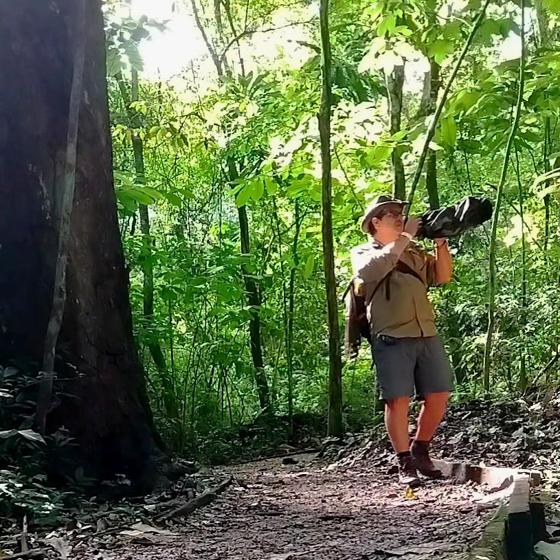 Photowalk Panama Rainforest