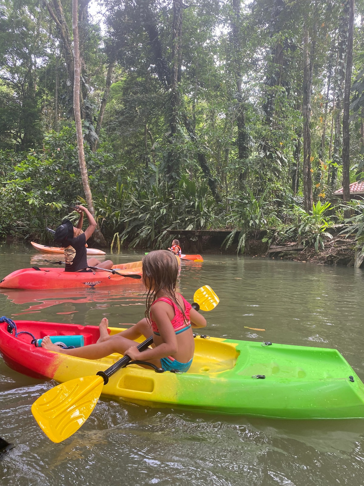 Kayak and spot jungle wildlife with a nature guide