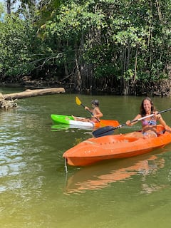 Haz kayak y observa la fauna de la mano de un guía de la naturaleza