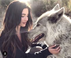 Participa en encuentros mágicos con lobos