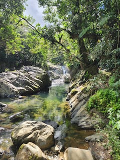 River activities
