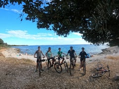Paseo en bici eléctrica con cata de vino y aceite de oliva