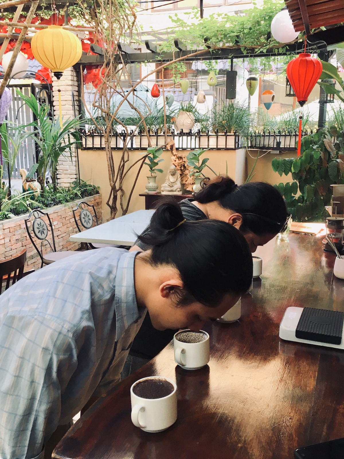 Investigate Vietnam's coffee culture