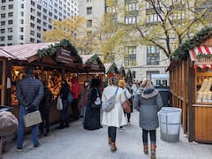 芝加哥假日灯光和圣诞景点之旅