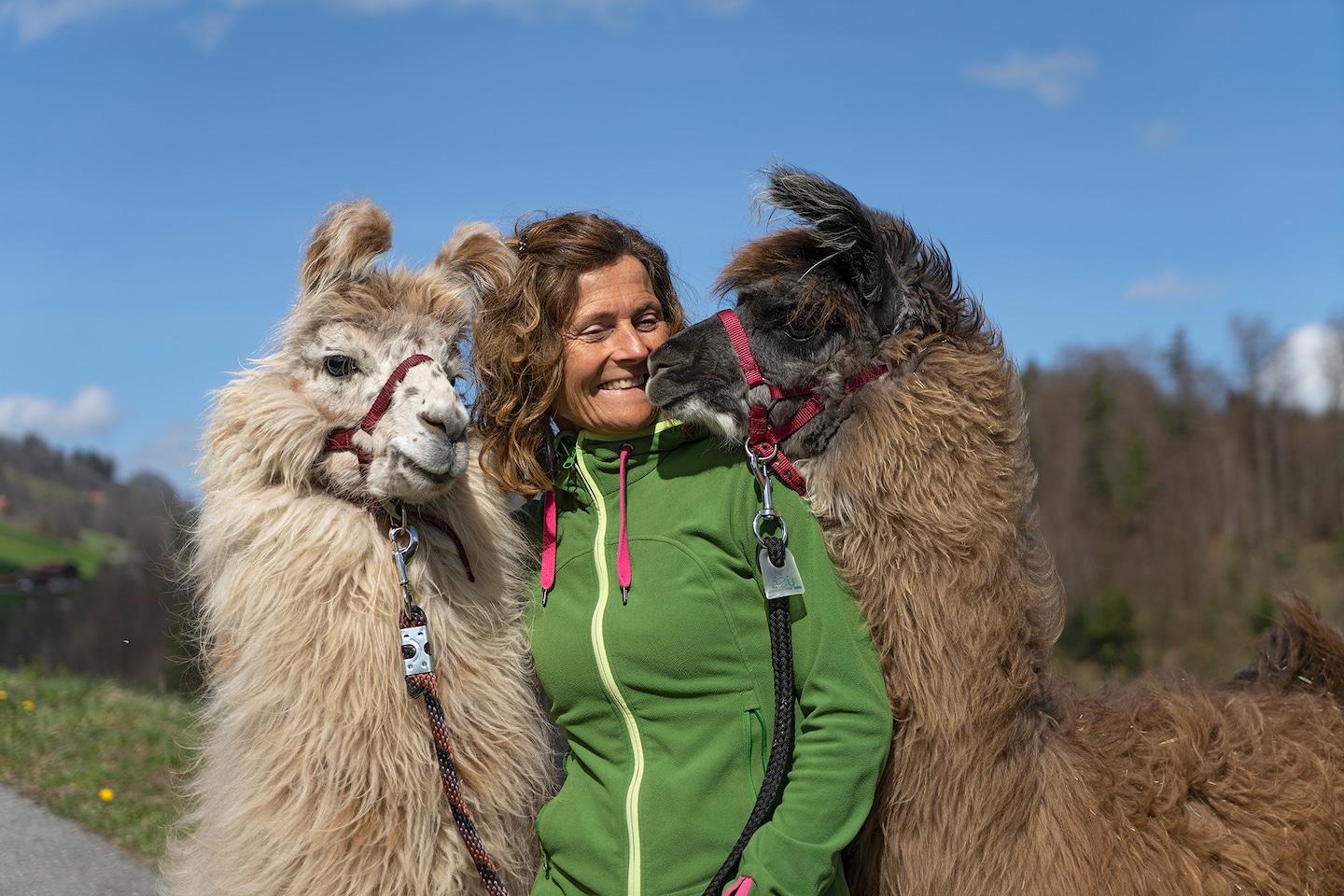 Llama and alpaca walks · ☆5.0