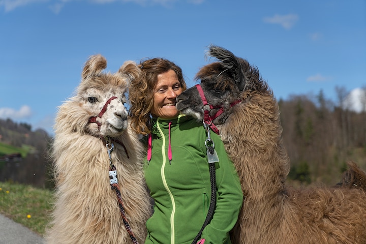 Llama and alpaca walks · ☆5.0