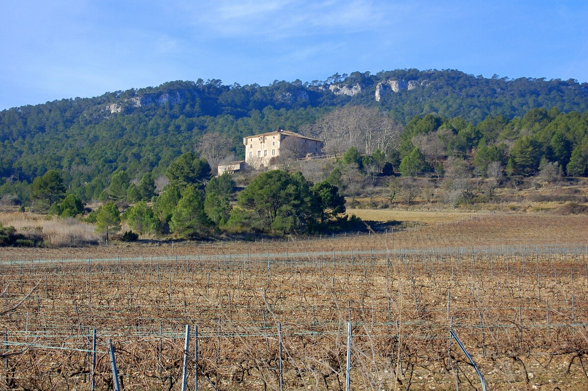 El Pebrot i el Petit Cargol in Barcelona, Spain - reviews,open hours,photo  spots, things to do | WanderBoat AI Trip Planner