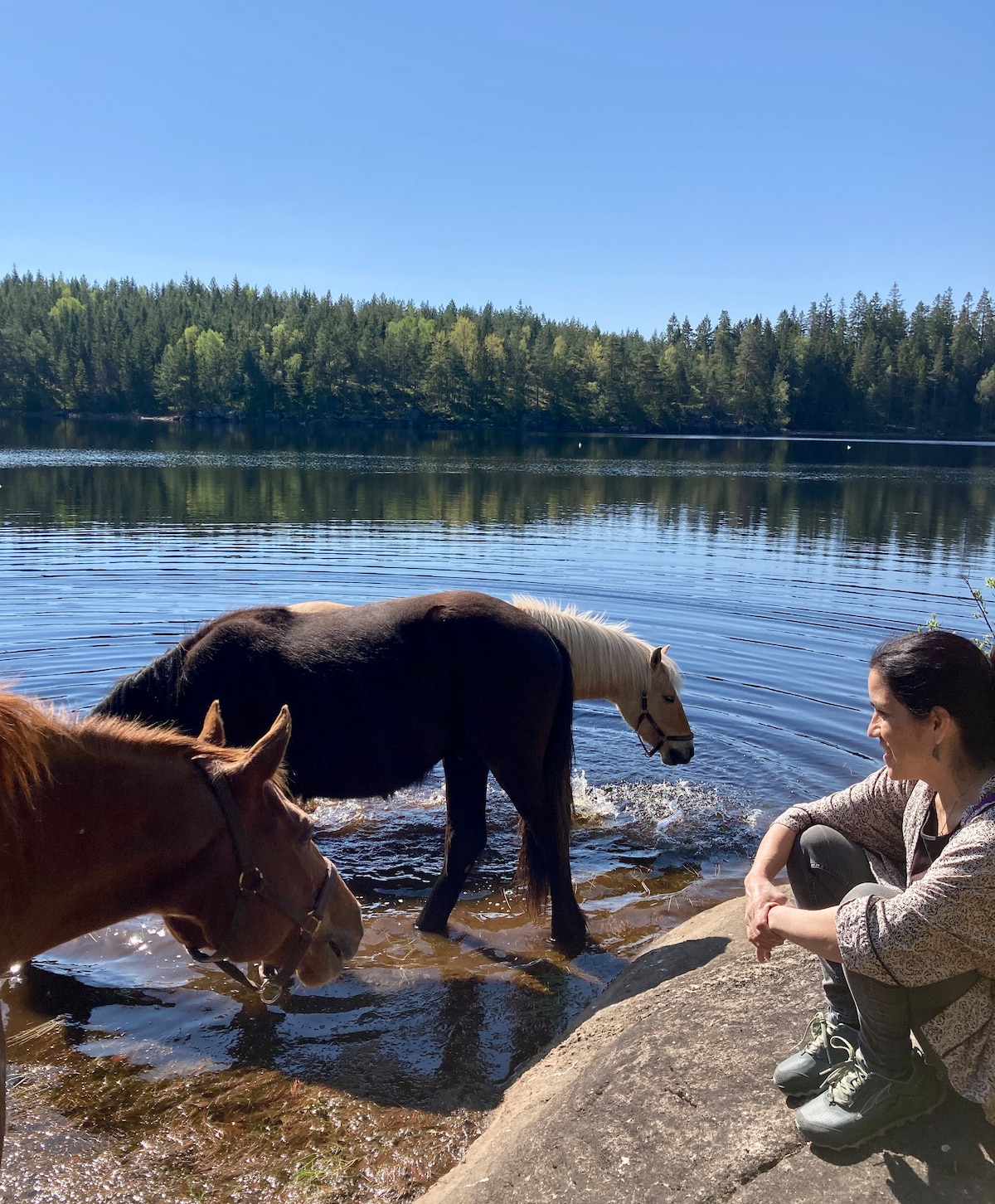 Follow horses on an adventure